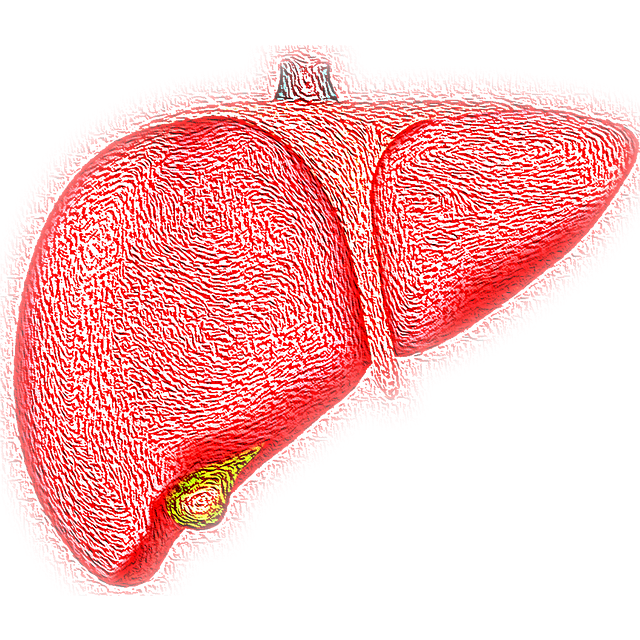How To Protect Your Liver