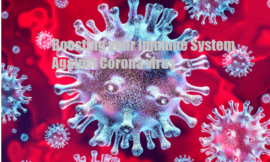Boosting your Immune System Against Corona virus